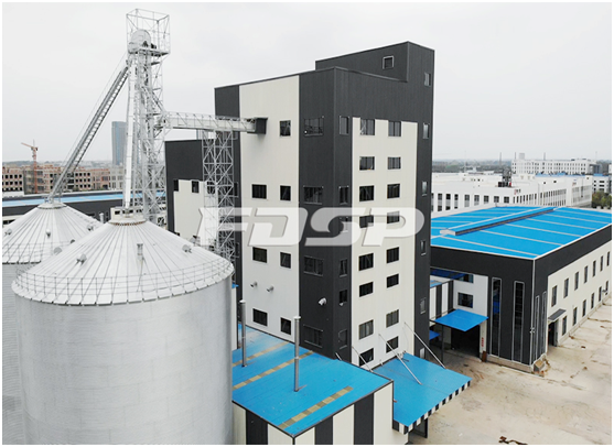 imagen.png imagen.png