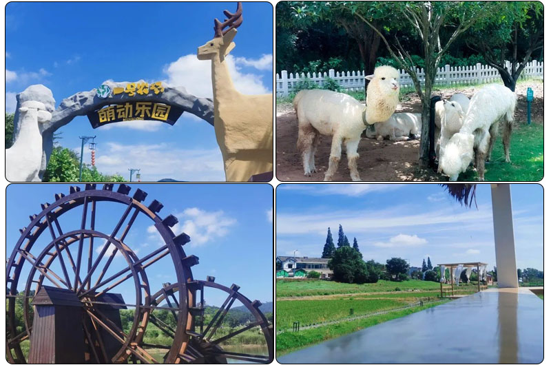 "Sin virus, luche por las ventas y promueva la producción, estamos juntos" La gira feliz y de ocio de FDSP 2022 se completó con éxito (图1) viaje 3.jpg