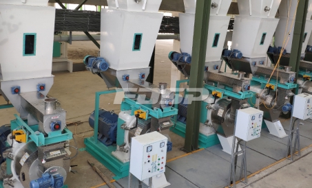 FDSP le ense?a cómo hacer que la máquina de pellets de madera dure más