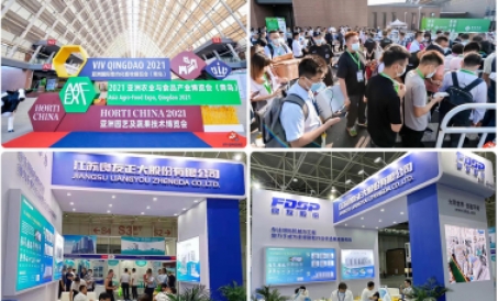 Nuevos productos, nuevas tecnologías, nuevos proyectos: las acciones de Liangyou aparecieron en la E