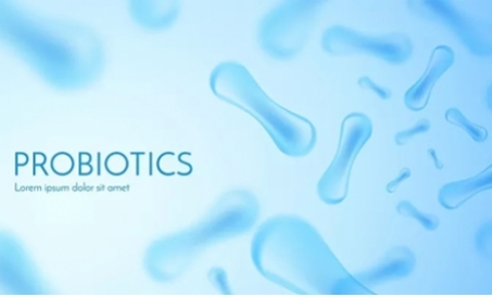 Ventajas de los piensos de fermentación biológica