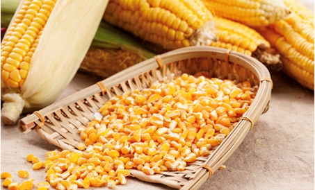 Cómo reducir la pérdida de material de la fábrica de piensos