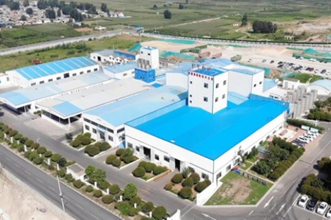 Proyecto de ingeniería de polvo de la línea de producción de acidulantes de Shandong Zhongxin